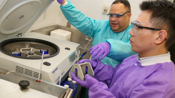 Rafael González-Cruz, a postdoctoral researcher in the Hoffman-Kim lab, and Yang Wan, a Brown Ph.D. student in engineering, used a centrifuge to find ways to use mini-brains to study brain injuries. Photo courtesy of Cherie Daniel for the School of Engineering.