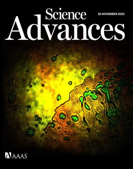 UC Irvine scientists create new chemical imaging method; Cover of Science Advances magazine