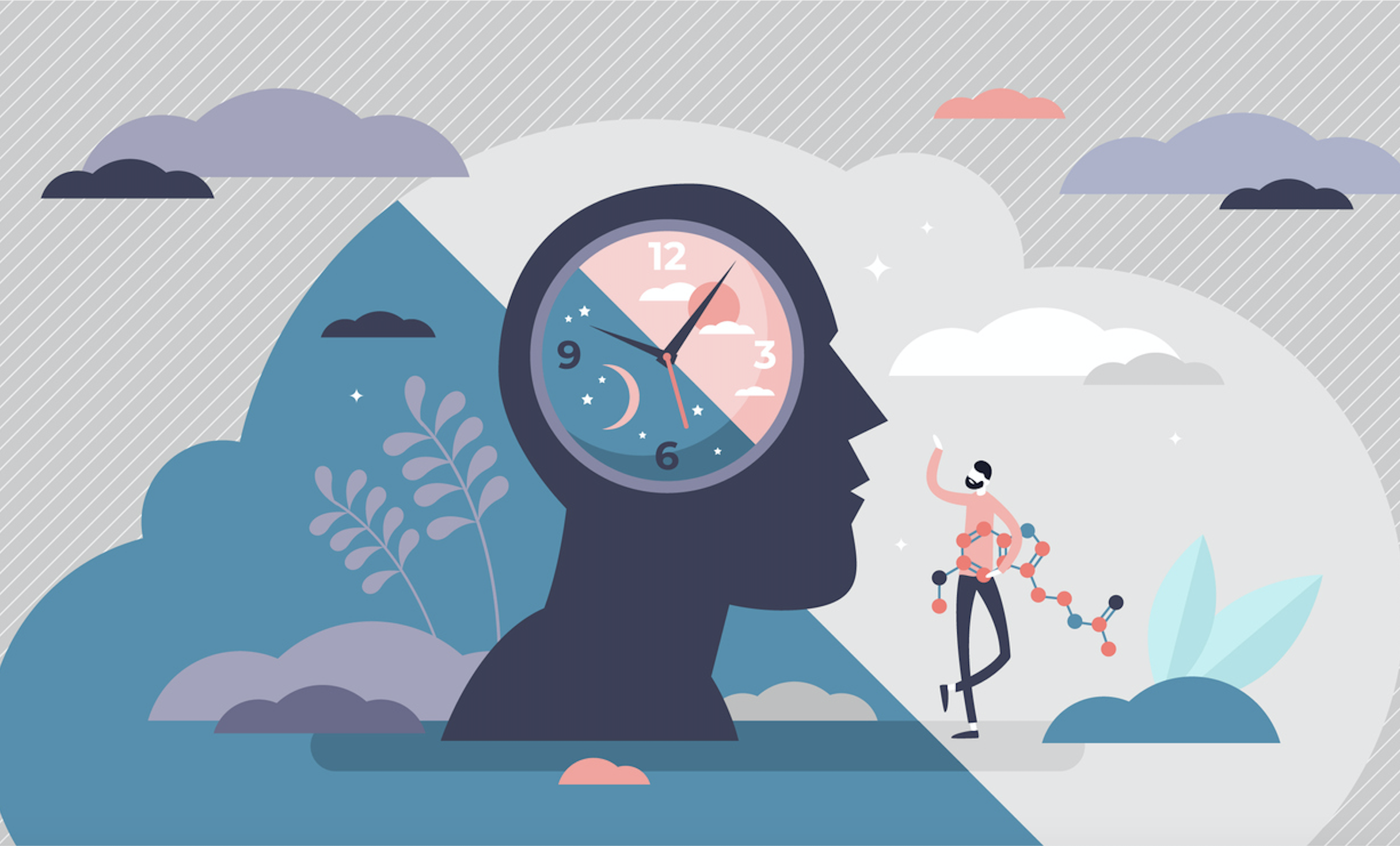 circadian rhythm