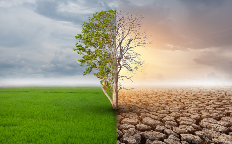 climate change events could cause major losses