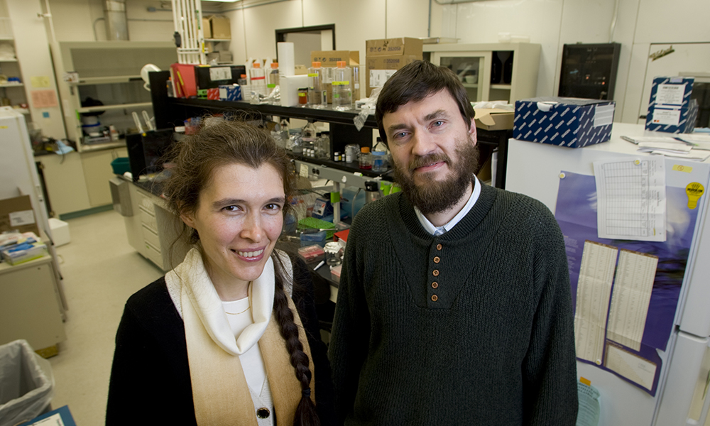 Rochester's Vera Gorbunova (left), the Doris Johns Cherry professor of biology, and Andrei Seluanov, professor of biology - they are focusing on neurodegenerative diseases