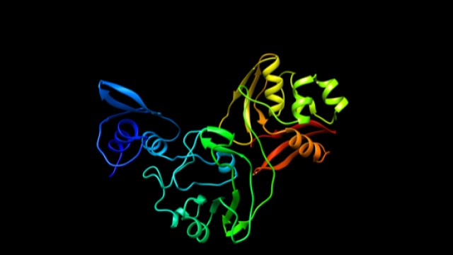 Coronavirus protein, called Nsp15