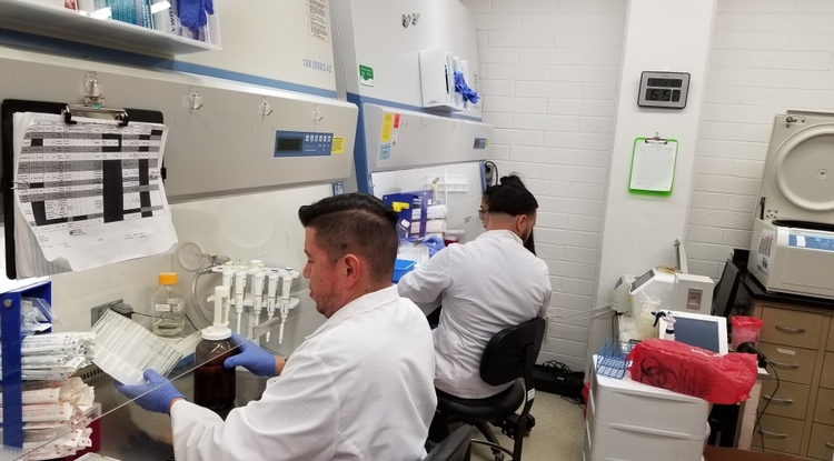 University scientists