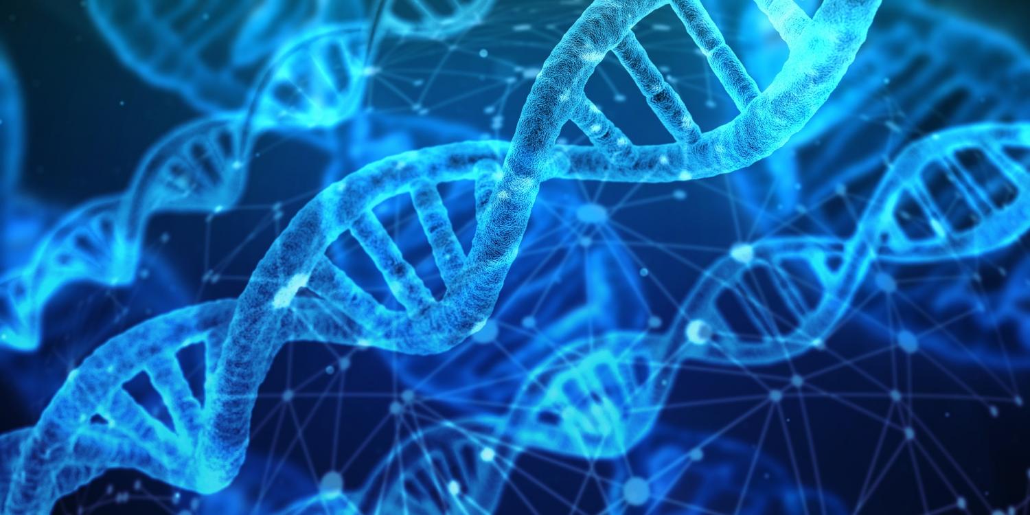 A DNA chain.