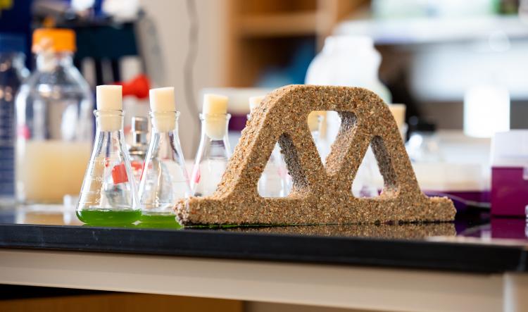 Bacterial Building Materials rest on a desk.