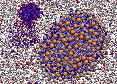 simulation of biological macromolecules