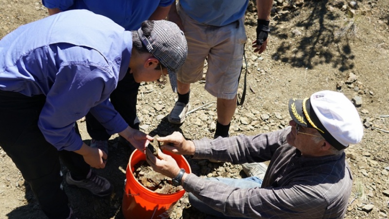 Excavators examine fossils at Mitchell quarry