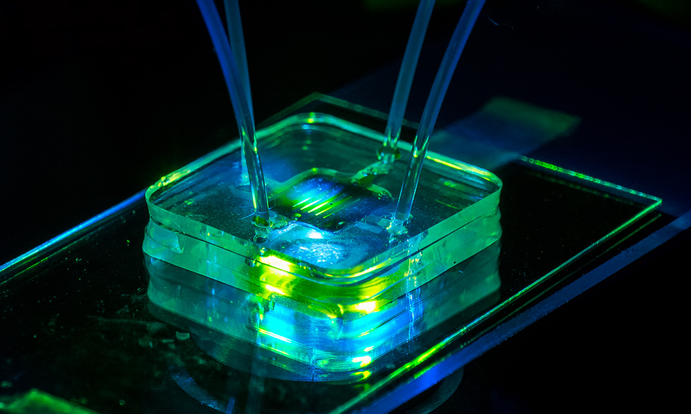 testing a COVID-19 sample