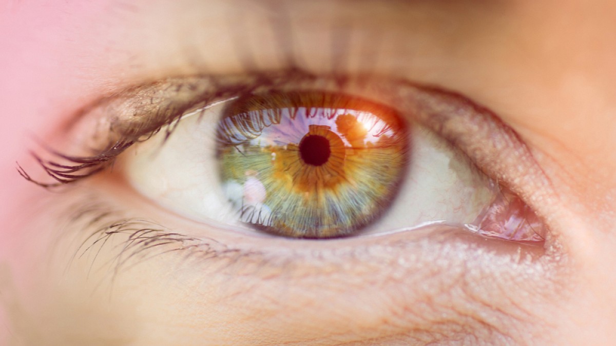 Human Eye