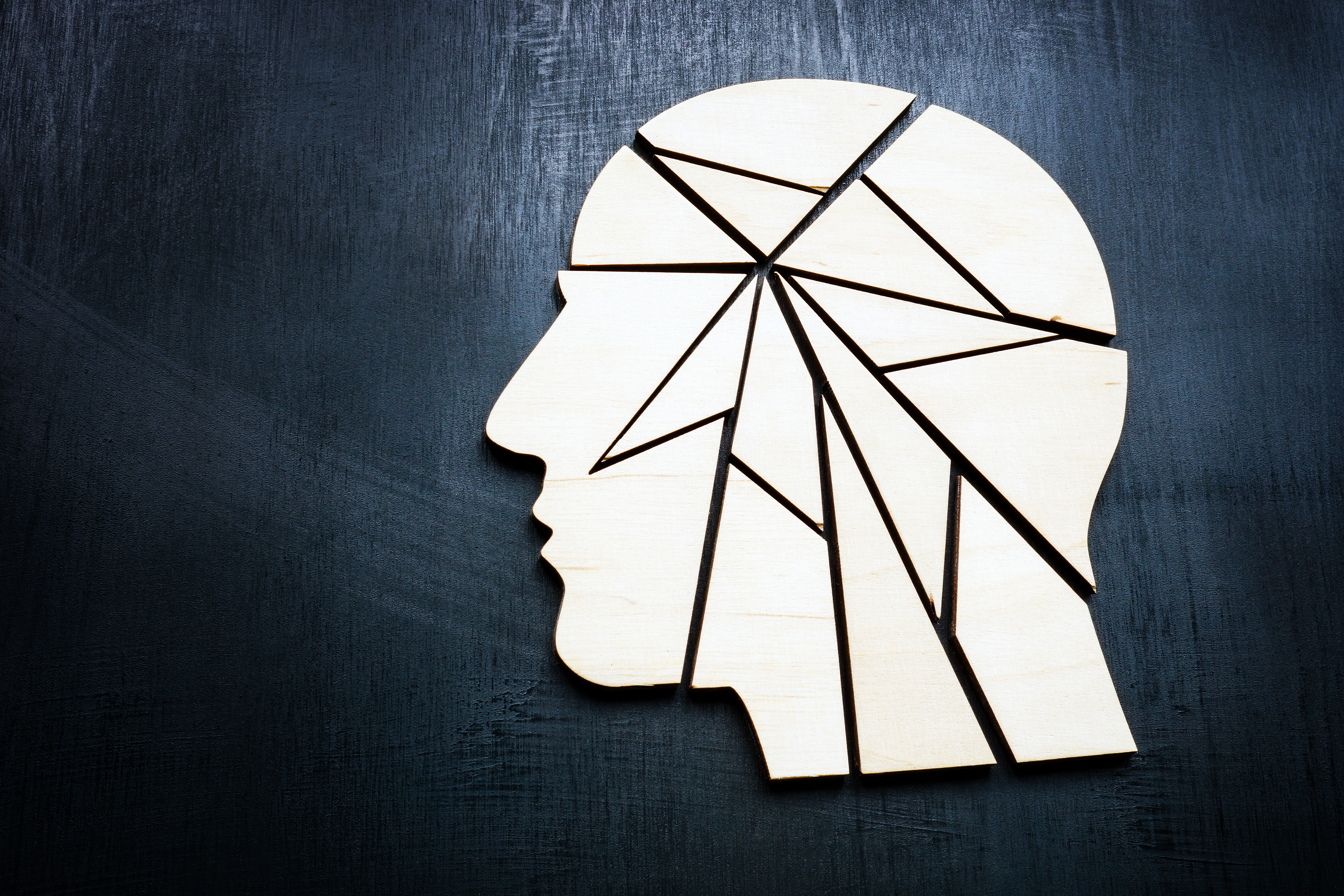 Study Reveals How Genetics Impacts Susceptibility to Developing PTSD Following Trauma Exposure; A head divided into fractal shapes