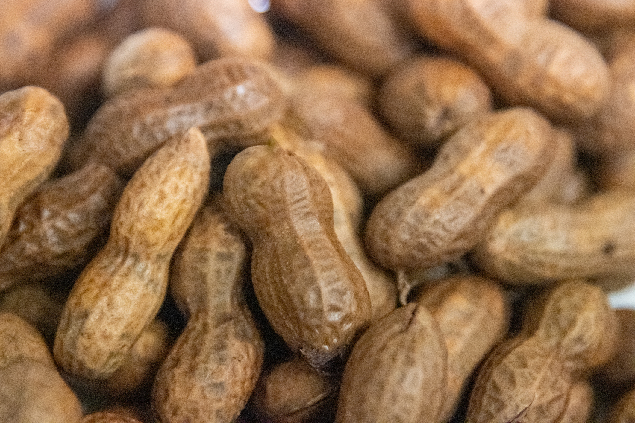 Fresh boiled peanuts.