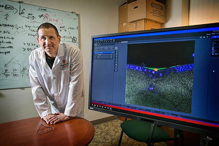 Dr. Josh Dubnau