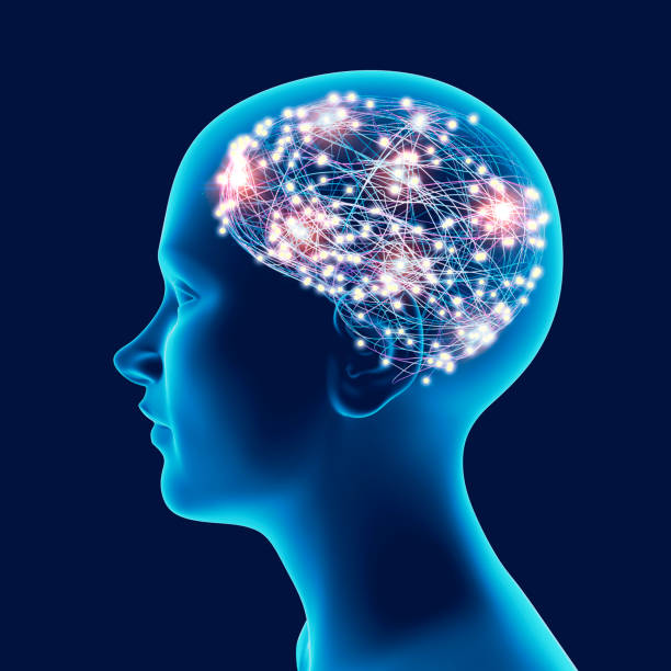 Inside of the brain lit up
