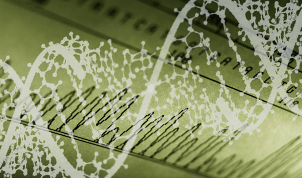 DNA is measured.