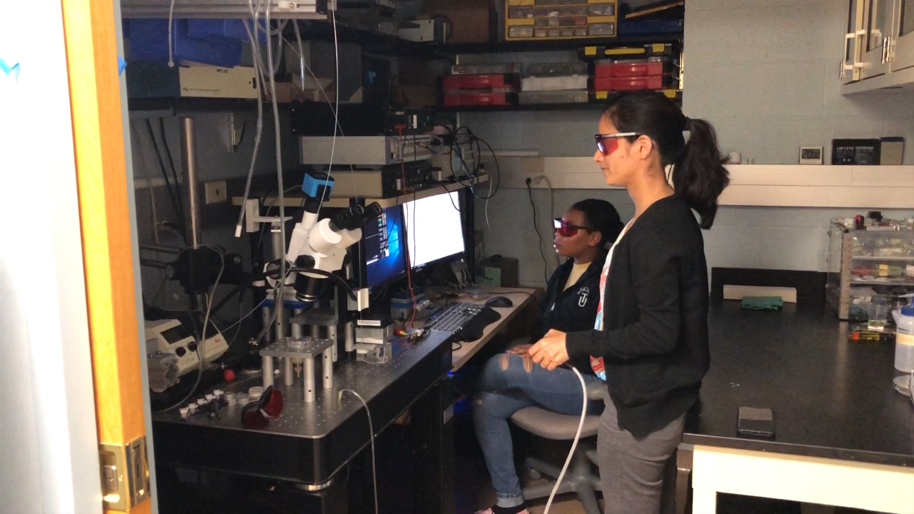 Scientists look at a screen.