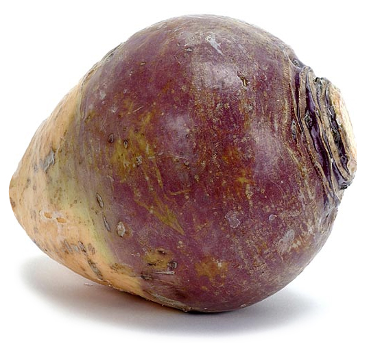 A beet on a white background.