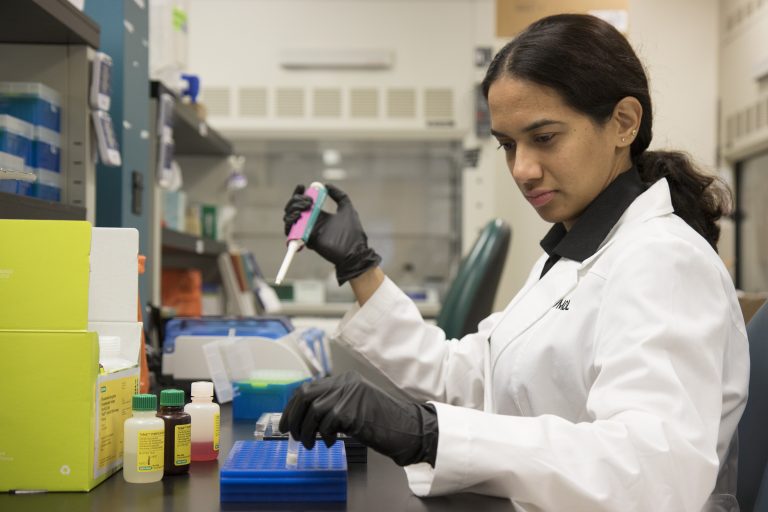 A researcher works in the lab