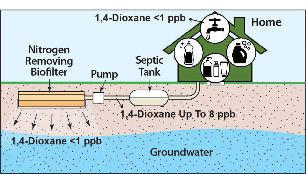 Nitrogen removing biofilters