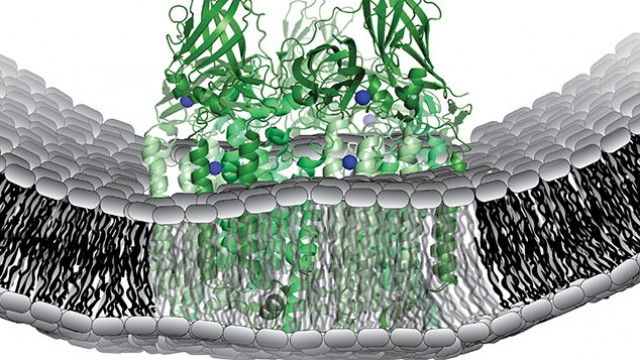 Methane-eating bacteria