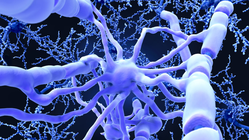 specialized brain cells