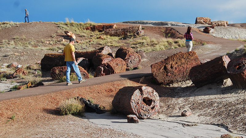 Visitors hike past fossilized tree trunks in Petrified Forest Nationial Park in Arizona, where research was conducted on using satellite imagery to identify fossil sites.