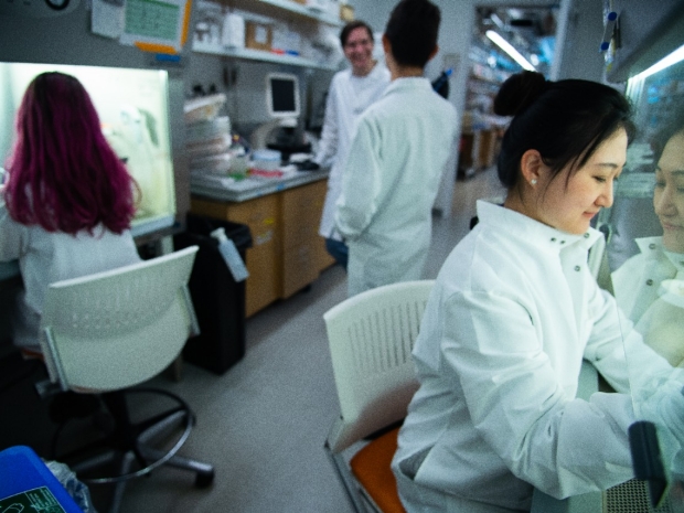 Researchers in lab