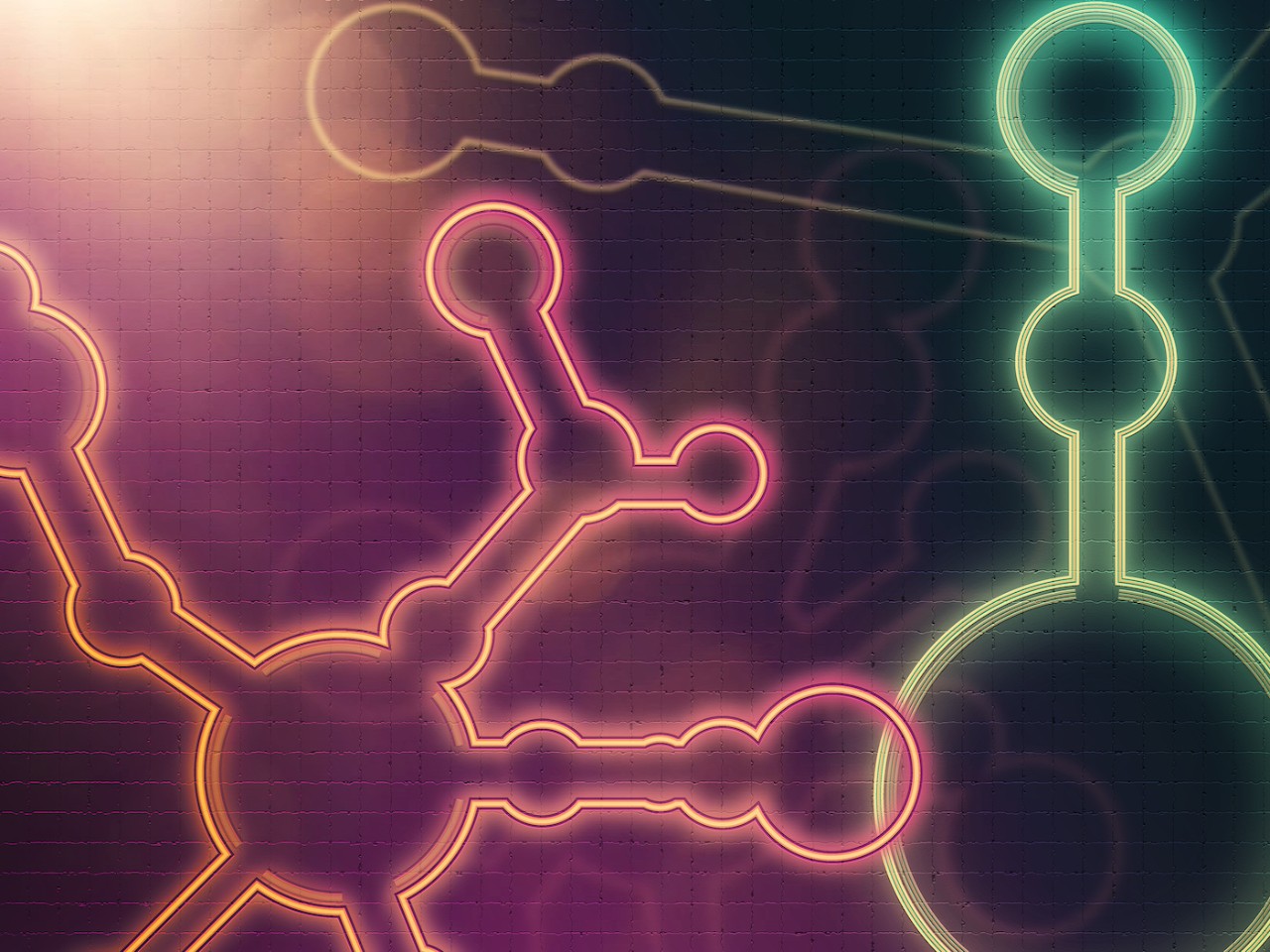 Image courtesy of Simon Müller and Wen-Wei Liang