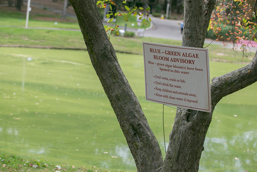 Sign at Roth Pond