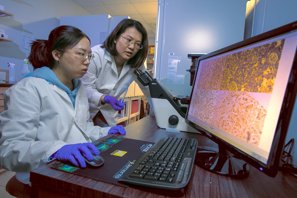 Two researchers look at screen.