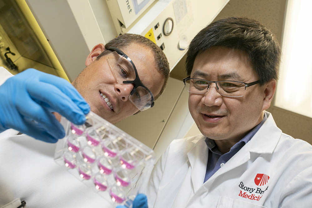 Researchers prepare to study cells.