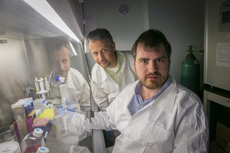 SBU Researchers