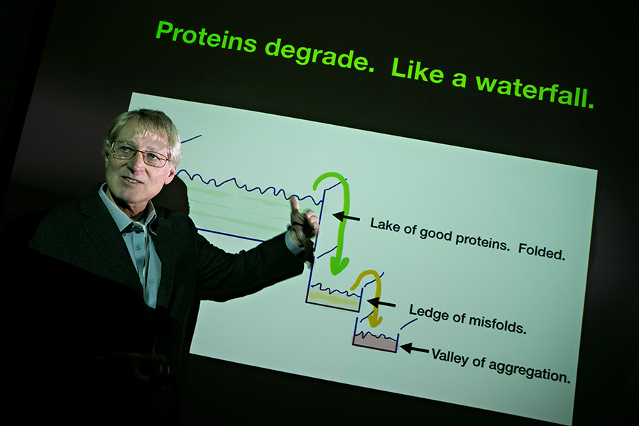 Ken Dill, PhD, explains the process of protein misfolding that leads to cell degradation and death and its connection with age-related disease.