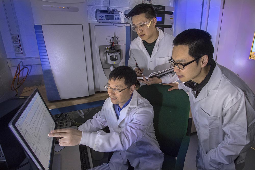 Scientists look at a screen.
