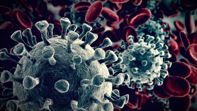 coronavirus cells