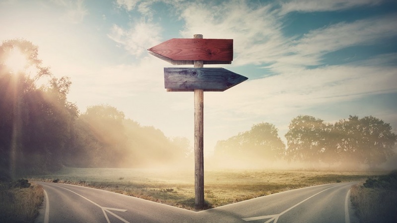 future rat behaviors symbolized by a picture of signs pointing left and right