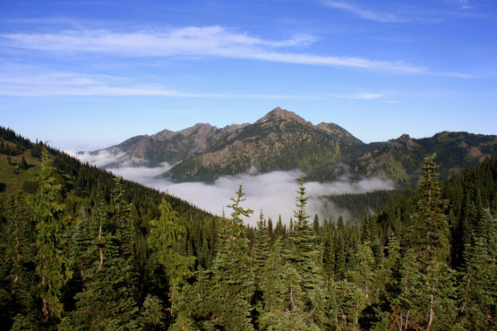 Fog rises above a mountain in Olympic National Park