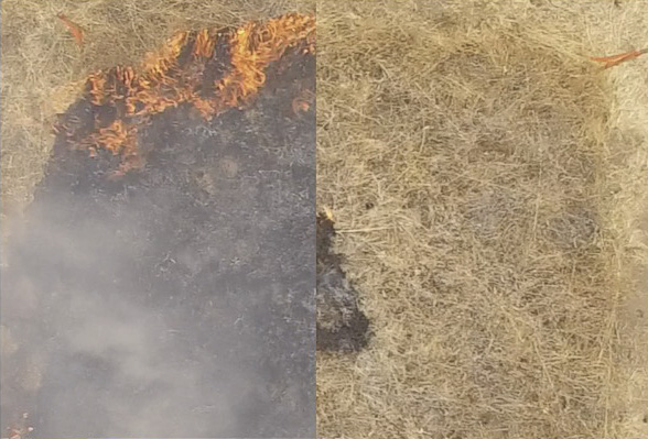 The images above show untreated (left) and treated (right) plots shortly after fire ignition. 