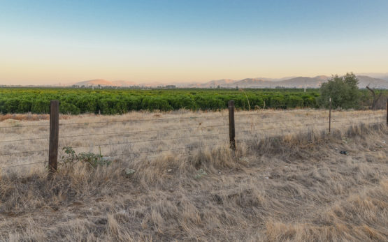 Hills and grassland in California.
