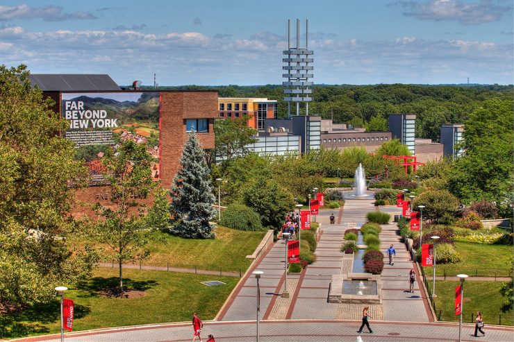 Stony Brook university