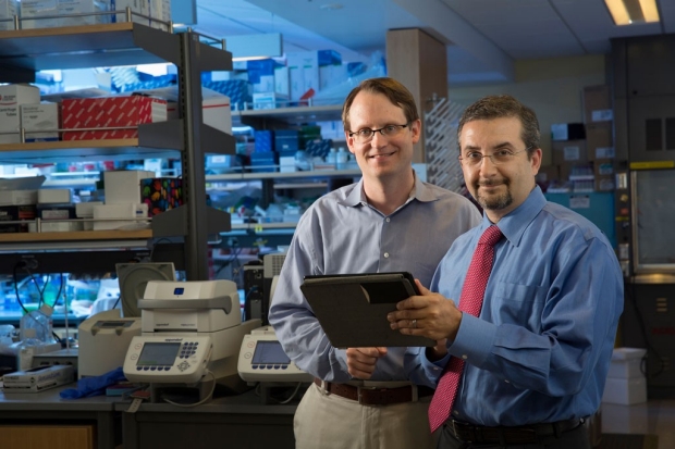 The researchers who discovered the algorithm pose.