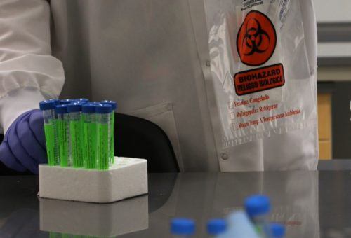 Viral sampling kits