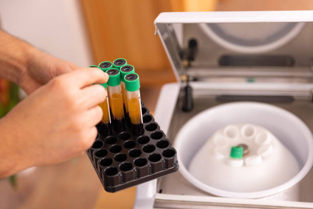Test tubes in a tray