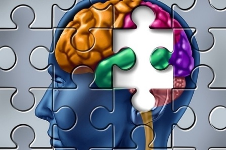 The brain as a puzzle.