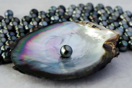 Pearl on the half shell.