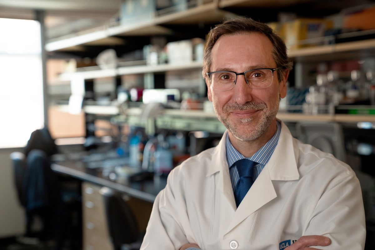 Dr. Antoni Ribas of the UCLA Jonsson Comprehensive Cancer Center