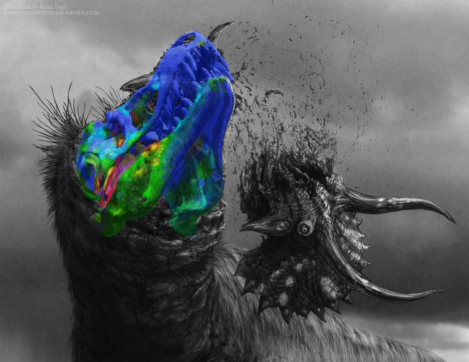 An artist’s rendition of the Tyrannosaurus rex with 3D imaging showing muscle activation in its head.