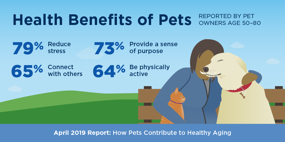 An image with positive pet statistics.