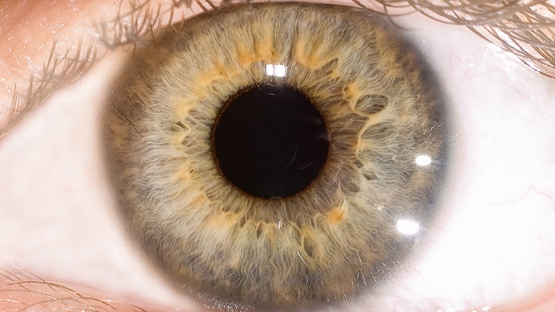 A human eye.