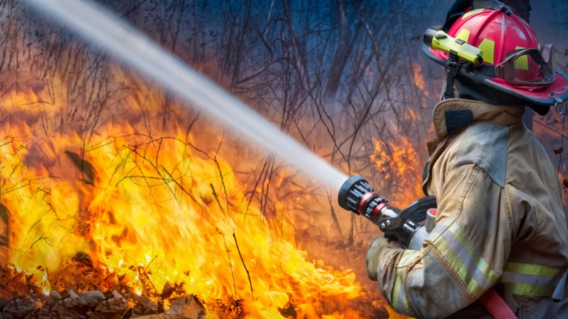 A firefighter fighting a wildfire.