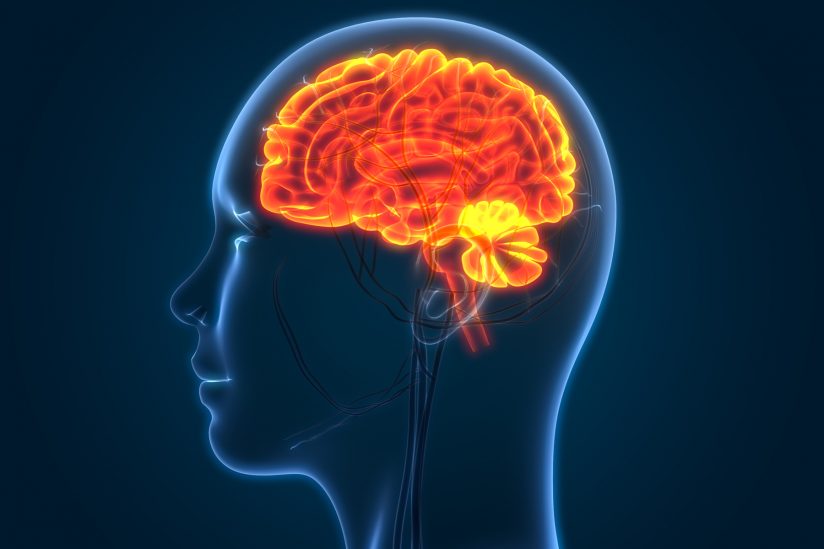 An illustration highlighting the brain.